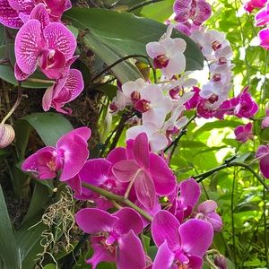 Meet your Posher, Mer